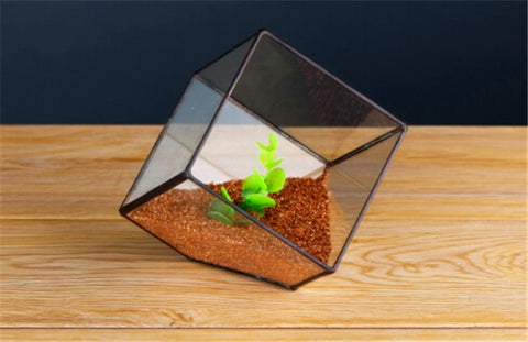The Cube Shape Vase