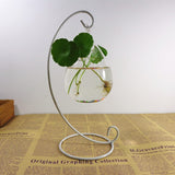 Holder Crystal Terrarium Vase