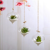 Clear Glass Hanging Vase