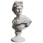 Venus Bust Goddess Figure Statue